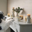 2023 Highlights - Illume Candles