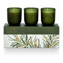 Balsam & Cedar Candle Trio Gift Set