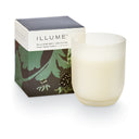 Blackberry Absinthe Baby Boxed Glass Candle