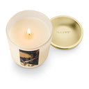 Midnight Pumpkin Signature Glass Candle