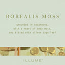 Borealis Moss Vanity Tin Candle - Illume Candles - 46263006000