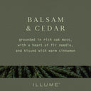 Balsam & Cedar Pine Glass Candle - Illume Candles - 46288072000
