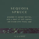 Sequoia Spruce Pine Glass Candle - Illume Candles - 46288060000