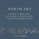 North Sky Small Radiant Glass Candle - Illume Candles - 45506083000