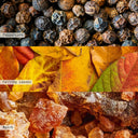 Leaves and Acorns Home Fragrance Card ILLUME Candles