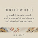 Driftwood Baby Boxed Glass Candle - Illume Candles - 46319005000