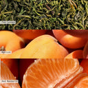 Gilded Citrus Glacé Glass Candle