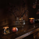 Midnight Pumpkin Demi Vanity Tin - Illume Candles - 45364058000