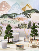 Picnic in the Park Boxed Votive Candle - Illume Candles - 45241001000