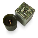 Balsam & Cedar Refillable Boxed Glass Candle - Illume Candles - 45375072000