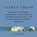 Citrus Crush Hand Lotion